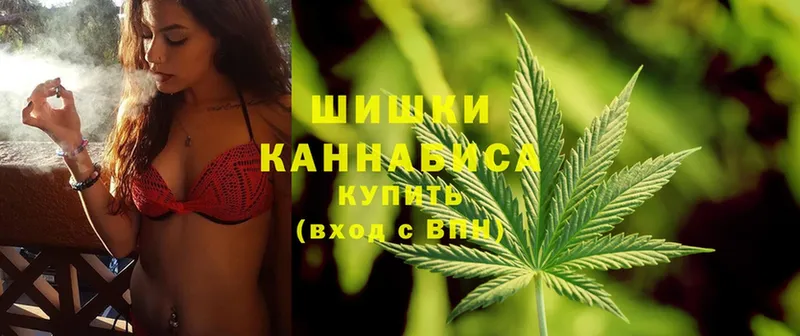 Шишки марихуана OG Kush  ссылка на мегу tor  Скопин  где продают наркотики 